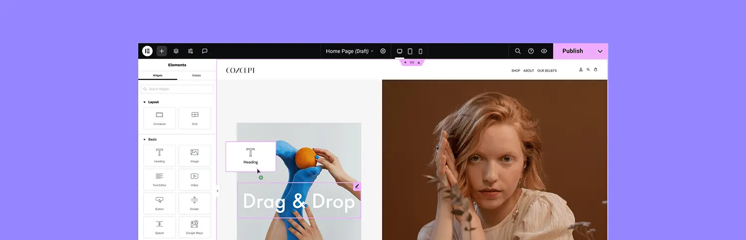 Elementor Page Builder